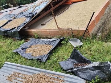 Vendo finca cafetera en Andes Antioquia