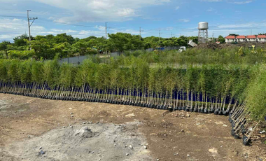 Lot for Sale in Cavite