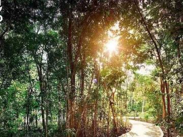 Venta de Departamento en Ciudad Mayakoba con Alberca