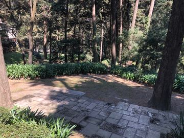Bosque 6060 Hermoso Pent House en Venta