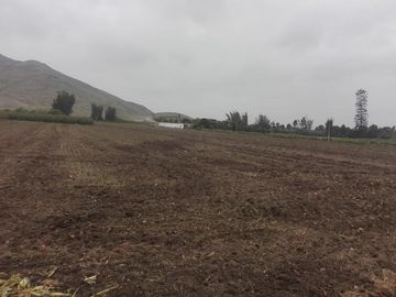 SE VENDE TERRENO AGRICOLA EN CHANCAY (4 HECTÁREAS) a 13 minutos del MEGA PUERTO