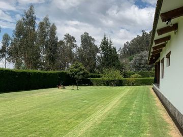 Casa 463 m2. + Terreno 3.103 m2. (Sector Pifo)