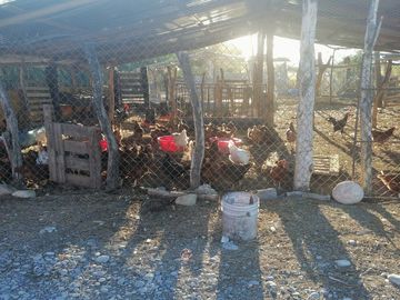 RANCHO EN VENTA EN CADEREYTA JIMENEZ, NUEVO LEON, CARRETERA SAN JUAN LAS TRANCAS, KM 4
