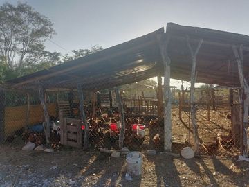 RANCHO EN VENTA EN CADEREYTA JIMENEZ, NUEVO LEON, CARRETERA SAN JUAN LAS TRANCAS, KM 4