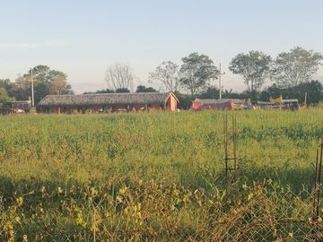 RANCHO EN VENTA EN CADEREYTA JIMENEZ, NUEVO LEON, CARRETERA SAN JUAN LAS TRANCAS, KM 4