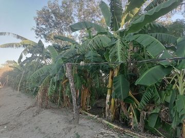 RANCHO EN VENTA EN CADEREYTA JIMENEZ, NUEVO LEON, CARRETERA SAN JUAN LAS TRANCAS, KM 4