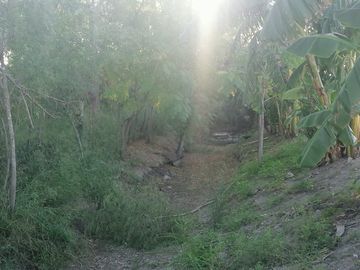 RANCHO EN VENTA EN CADEREYTA JIMENEZ, NUEVO LEON, CARRETERA SAN JUAN LAS TRANCAS, KM 4