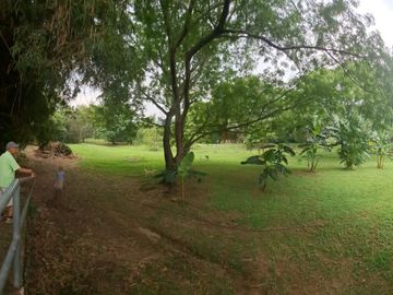 VENTA DE FINCA EN CARMEN DE APICALA