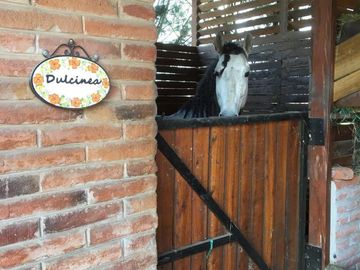HERMOSA QUINTA EN CHECA