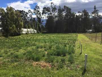 HERMOSA QUINTA EN CHECA