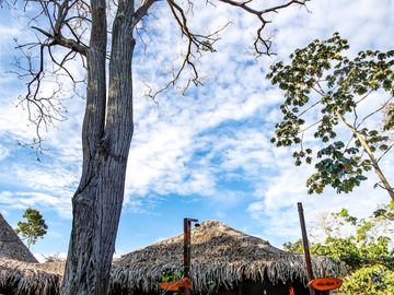 Vendo Hotel Negocio en Marcha Eco Lodge 49.25 Ha CASHIBOCOCHA PUCALLPA PERU