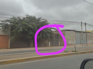 Inscrito en Registros Publicos