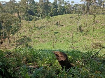 Terreno en venta, sector Pastaza - Puyo