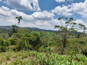 Terreno en venta, sector Pastaza - Puyo