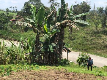 Terreno en venta, sector Pastaza - Puyo