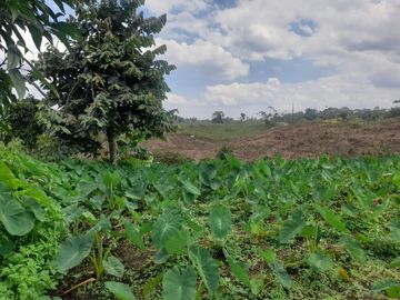 Terreno en venta, sector Pastaza - Puyo