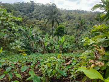Terreno en venta, sector Pastaza - Puyo