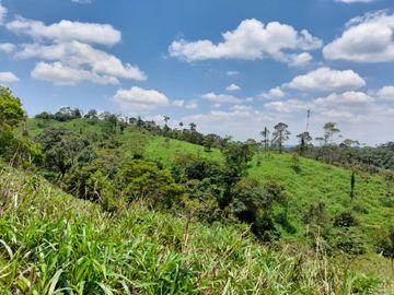 Terreno en venta, sector Pastaza - Puyo