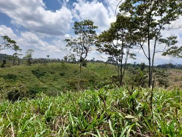 Terreno en venta, sector Pastaza - Puyo