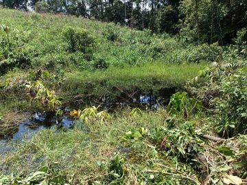 Terreno en venta, sector Pastaza - Puyo