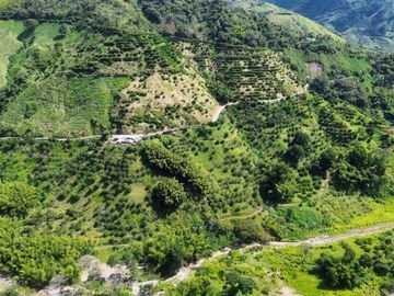 Se vende finca en cítricos vía Génova Quindío
