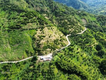 Se vende finca en cítricos vía Génova Quindío