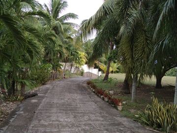 10,934 sq.m. farm resort for sale with a house overlooking the sea- Negros Occ. @P22M
