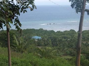 10,934 sq.m. farm resort for sale with a house overlooking the sea- Negros Occ. @P22M