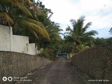 10,934 sq.m. farm resort for sale with a house overlooking the sea- Negros Occ. @P22M