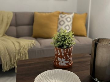 Venta de Departamento Nuevo Sin Muebles de 2 Recámaras y 2 Baños Completos - Jardines de Virginia.