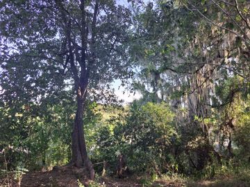 TERRENO EN VENTA EN CADEREYTA JIMENEZ, NL ZONA LAS ADJUNTAS, COLINDA RIO RAMOS