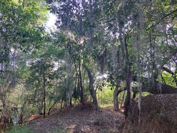 TERRENO EN VENTA EN CADEREYTA JIMENEZ, NL ZONA LAS ADJUNTAS, COLINDA RIO RAMOS