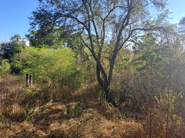 TERRENO EN VENTA EN CADEREYTA JIMENEZ, NL ZONA LAS ADJUNTAS, COLINDA RIO RAMOS