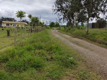 Vendo quinta de 03 hectáreas, sector La Libertad del Toachi, Santo Domingo