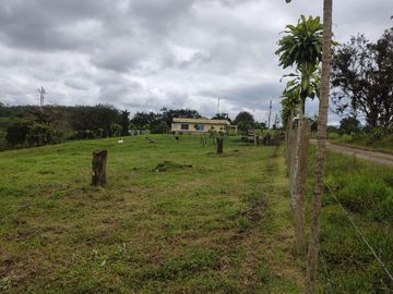 Vendo quinta de 03 hectáreas, sector La Libertad del Toachi, Santo Domingo