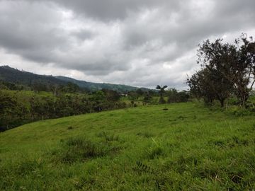 Vendo quinta de 03 hectáreas, sector La Libertad del Toachi, Santo Domingo