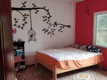 Vendo quinta de 03 hectáreas, sector La Libertad del Toachi, Santo Domingo