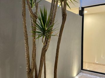CASA EN VENTA EN PRIVADA EN SAN ANGEL V