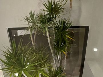 CASA EN VENTA EN PRIVADA EN SAN ANGEL V