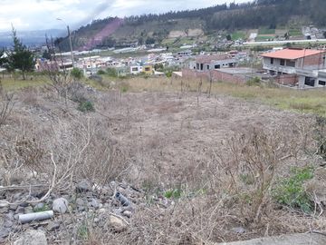 TERRENO IZAMBA SECTOR AEROPUERTO