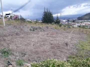 TERRENO IZAMBA SECTOR AEROPUERTO