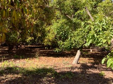 Vendo Parcela Camino Lonquen Sur Paradero 32 Talagante