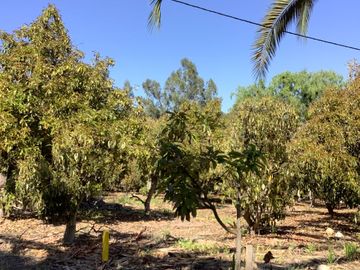 Vendo Parcela Camino Lonquen Sur Paradero 32 Talagante