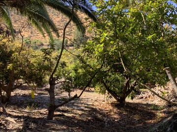 Vendo Parcela Camino Lonquen Sur Paradero 32 Talagante