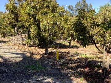 Vendo Parcela Camino Lonquen Sur Paradero 32 Talagante