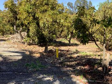 Vendo Parcela Camino Lonquen Sur Paradero 32 Talagante