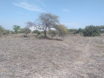 TERRENO EN VENTA FUNDO SAN CARLOS