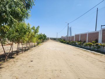 TERRENO EN VENTA FUNDO SAN CARLOS