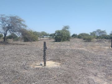 TERRENO EN VENTA FUNDO SAN CARLOS