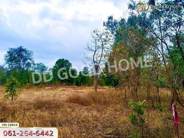 📢Land for sale Mueang Lampang District, 13 rai 374 sq w Lampang.